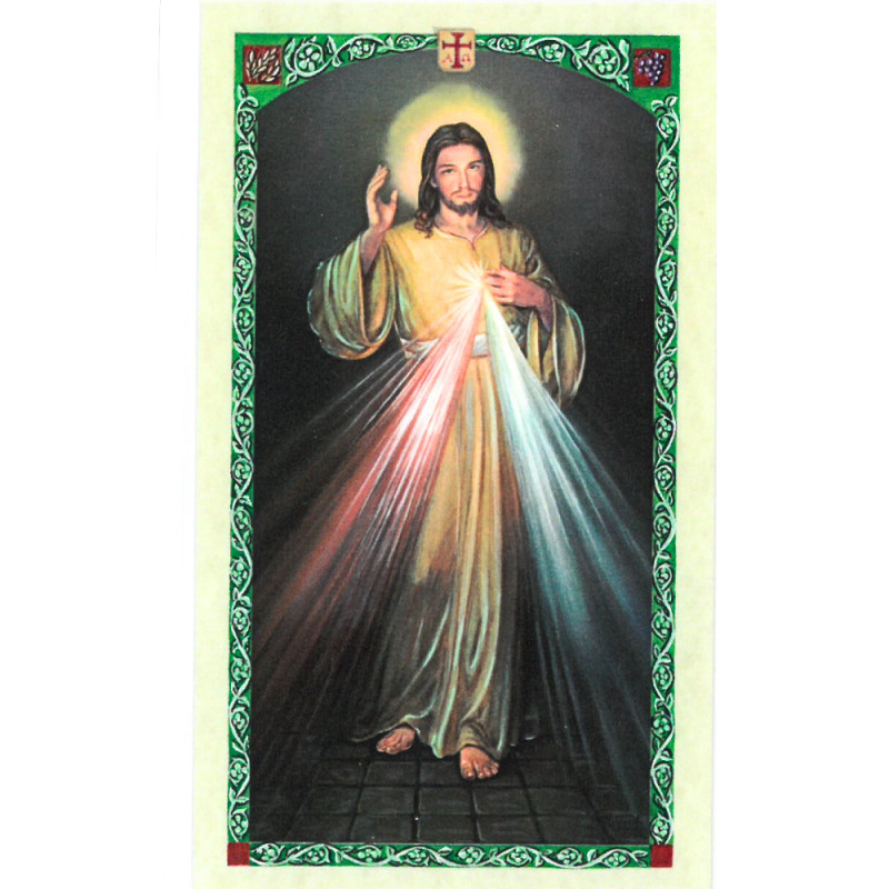 Image Religieuse de Jésus Miséricordieux 6x11 cm avec Prière au Verso