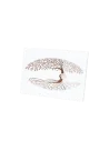 Cadre bois blanc - Arbre Sainte Famille