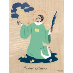 Cadre Saint Etienne - Venière