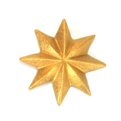 Grande Crèche des Soeurs de Bethleem - Etoile