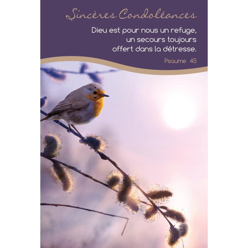 6 Cartes Doubles "nature" et versets bibliques