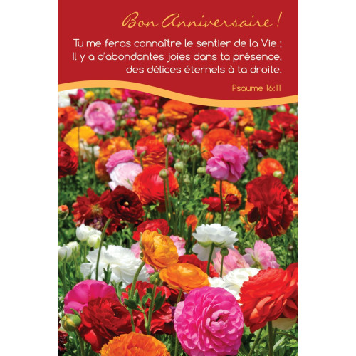 6 Cartes Doubles "nature" et versets bibliques
