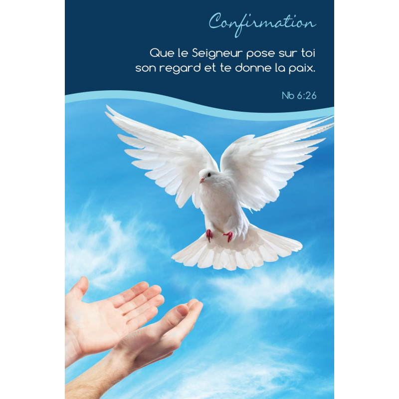 6 Cartes Doubles "nature" et versets bibliques