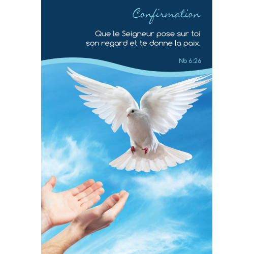 6 Cartes Doubles "nature" et versets bibliques