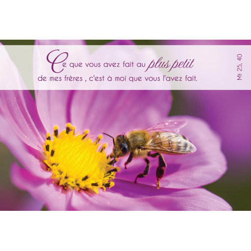 Cartes de voeux doubles - Kit03