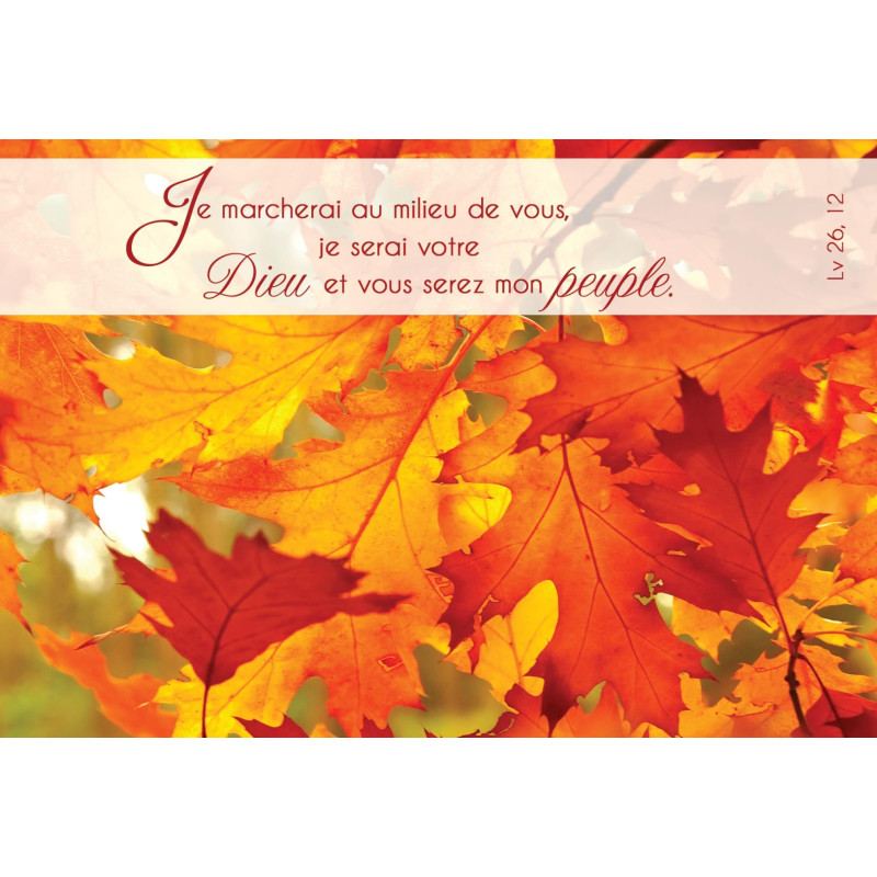 Cartes de voeux doubles - Kit03