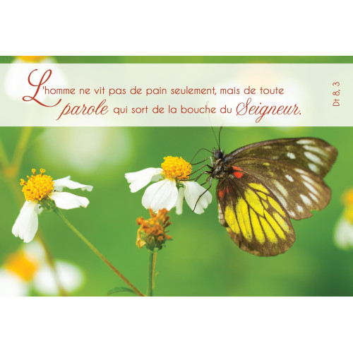 Cartes de voeux doubles - Kit03