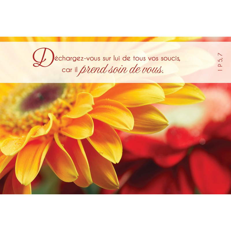 Cartes de voeux doubles - Kit03