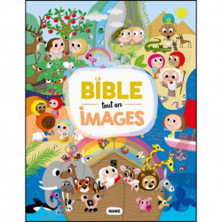 La Bible tout en images