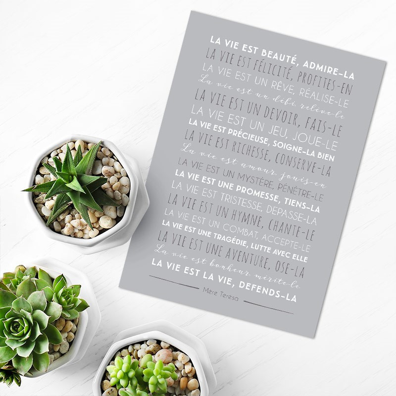 Carte déco "La vie est beauté" - gris 15X21